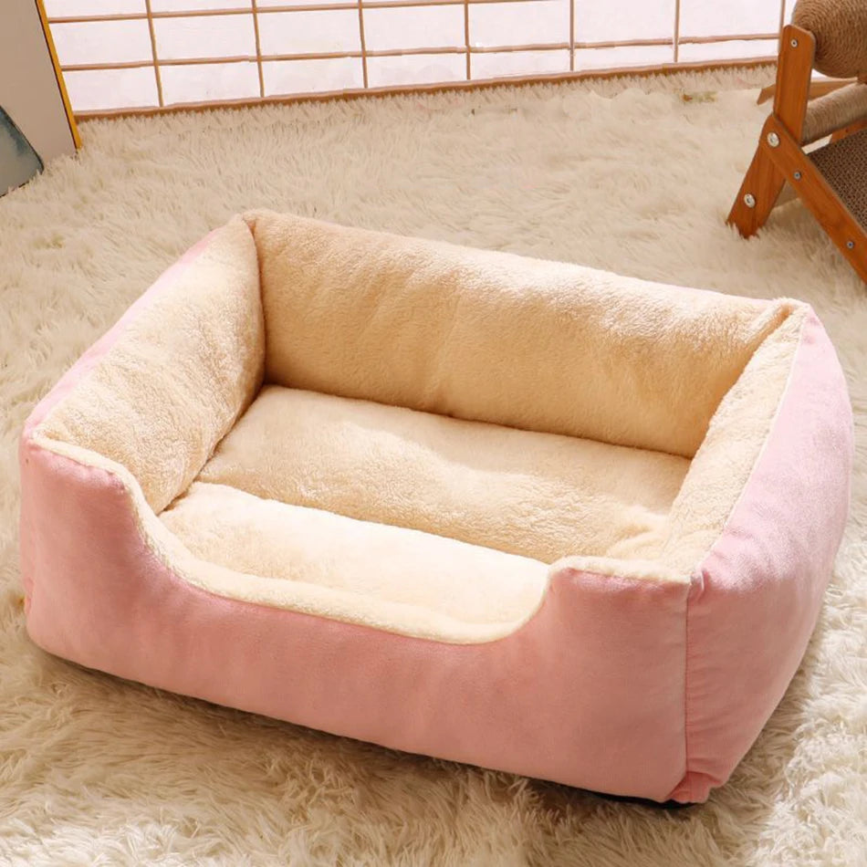 Bed for Cats Pet Products Cushions Kitten Goods Accessories Dog All Houses Supplies Things Accessory Habitats Basket House Beds