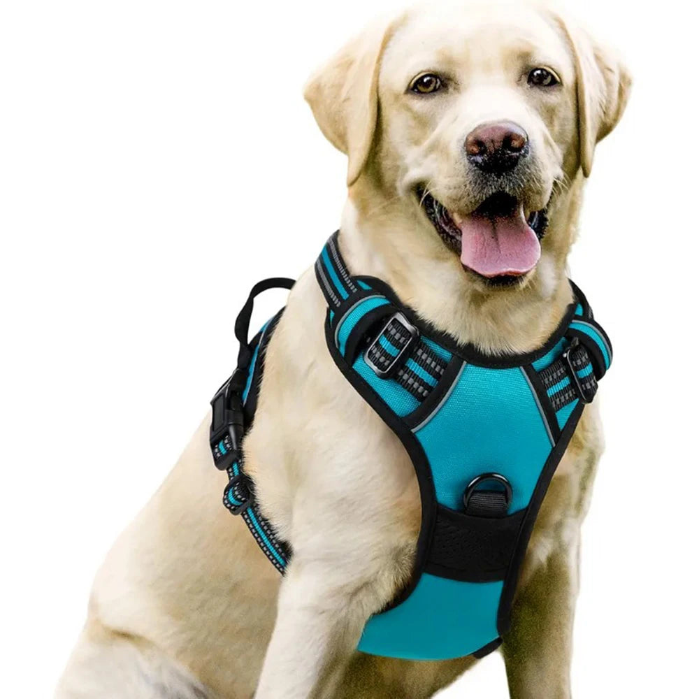 Dog Vest-Style Harness Traction Rope, Pet Harness Traction, Four-Color Optional Polyester Material Dog Harness, Suitable for Medium and Large Dogs, Dog Harness Pet Supplies