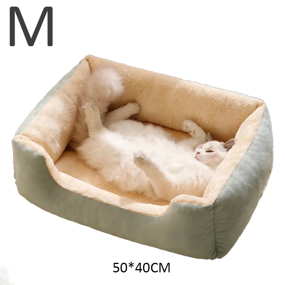 Bed for Cats Pet Products Cushions Kitten Goods Accessories Dog All Houses Supplies Things Accessory Habitats Basket House Beds